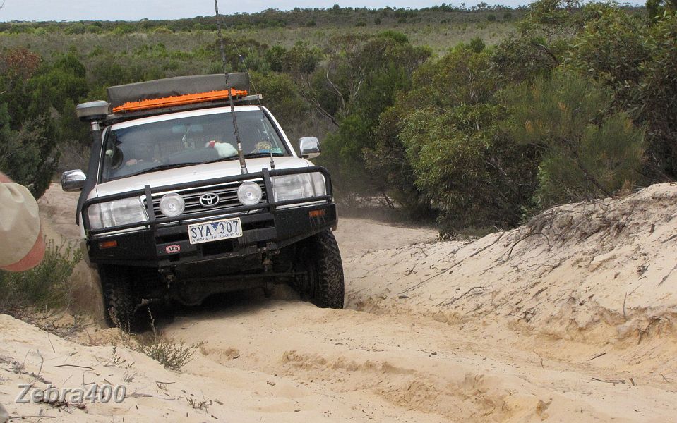 12-Bundy enjoys the sand driving.JPG